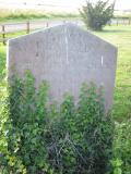 image of grave number 539441